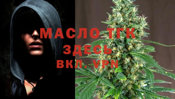 молекула духа Гусев