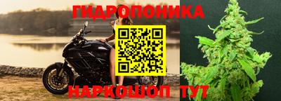 трава Апшеронск