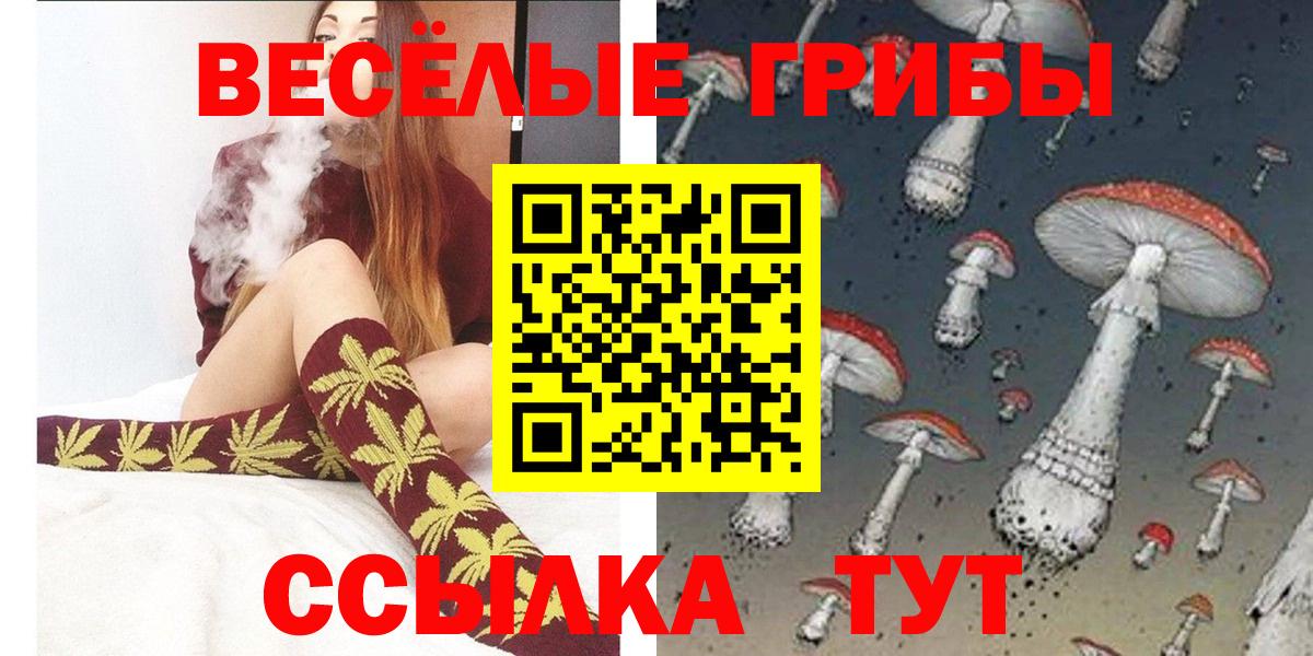 Галлюциногенные грибы прущие грибы Маркс