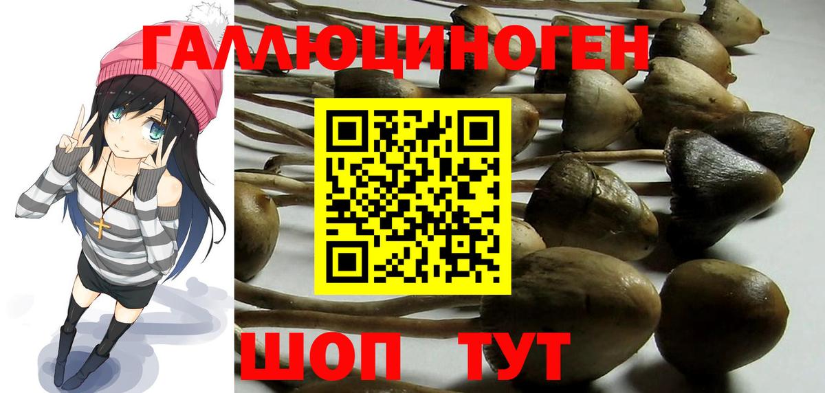 Псилоцибиновые грибы мицелий Маркс